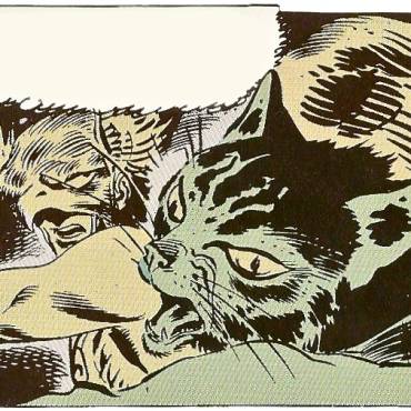 Hawkman Punches A Cat In The Head