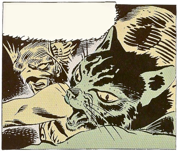 Hawkman Punches A Cat In The Head