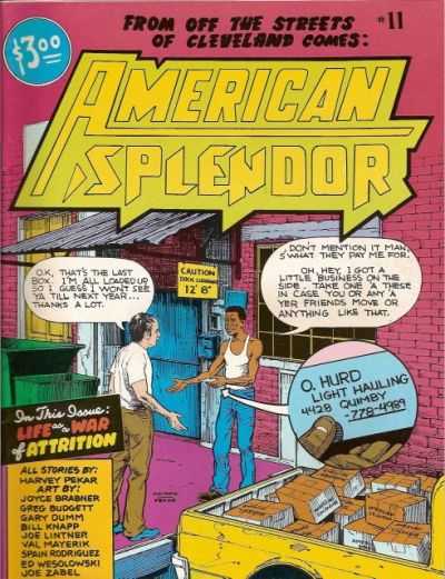 American Splendor #11