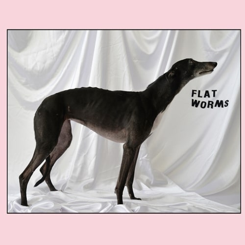 Flat Worms 12" Vinyl LP