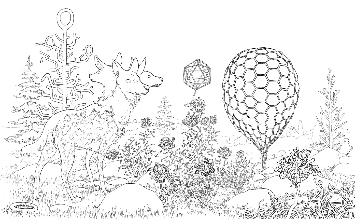 A Walk in Eden: A Coloring Book