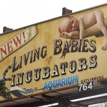 NEW! Living Babies in Incubators