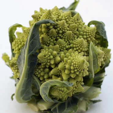 Romanesco – Crazy Fractaliscious Vegetable