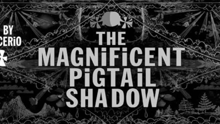 You Will Like Steven Cerio’s Film Magnificent Pigtail Shadow